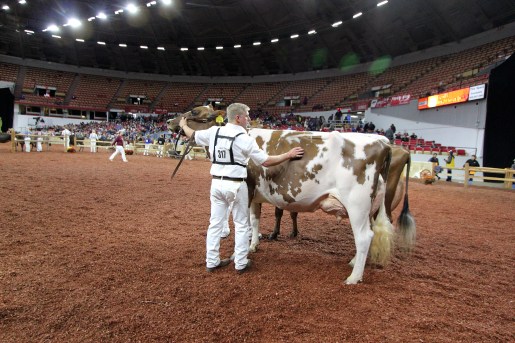 RuthRepeats2274 (1).jpg