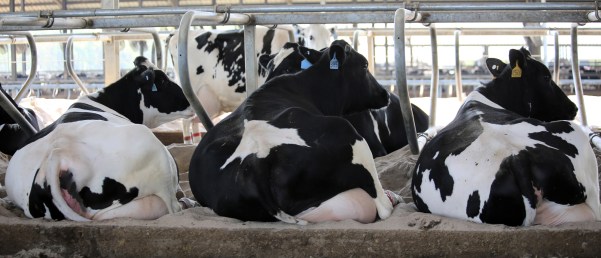 fl-ga-8787(brooksco) (2)-22 (2)