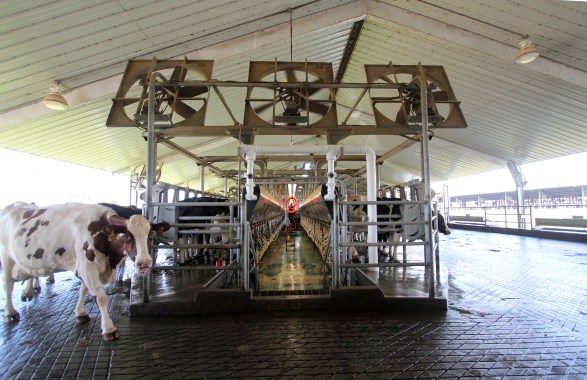 PD-Fla-Ga-2543(Brooksco)