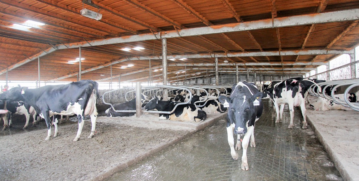 pdwebtenn-5451(sweetwater)