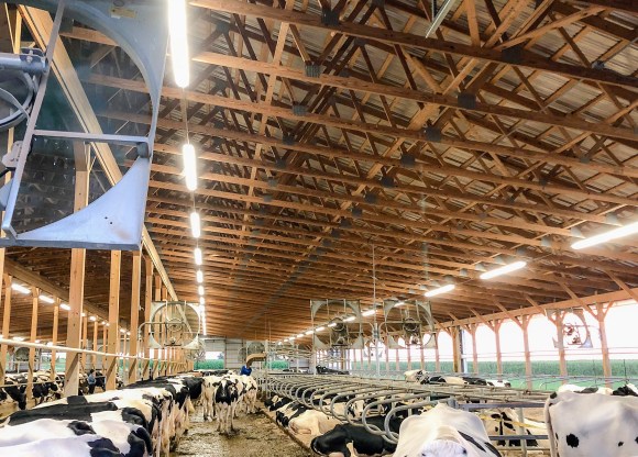 Zahncroft7856(TourMisc)